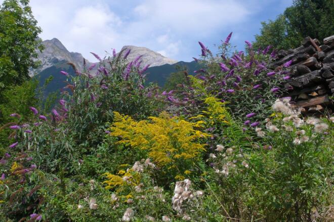 Kurz nach dem Start, Blick zum Gatschkopf