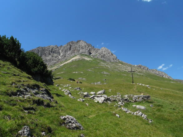 Platteinwiesen mit Vorderer Platteinspitze