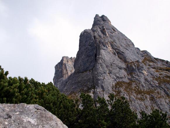 Rückblick zum Fieberhorn um 1800m