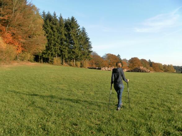 Wiesenquerung zum Ausgangspunkt