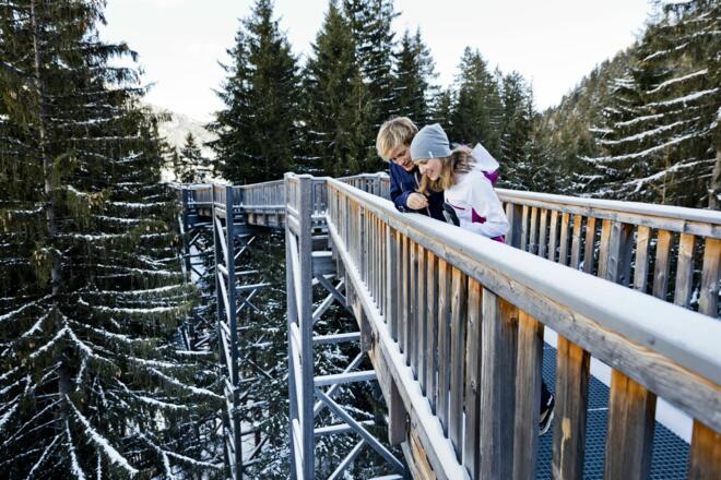 Baumzipfelweg &amp; Golden Gate Brücke der Alpen im Talschluss von Saalbach Hinterglemm
