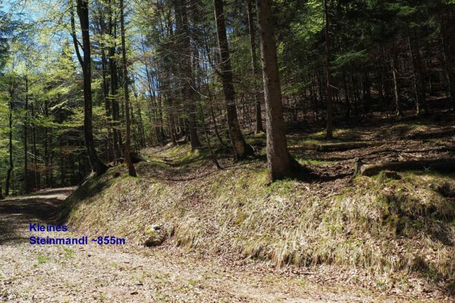 855m, Einstieg zum Jagdsteig zur Jagdhütte
