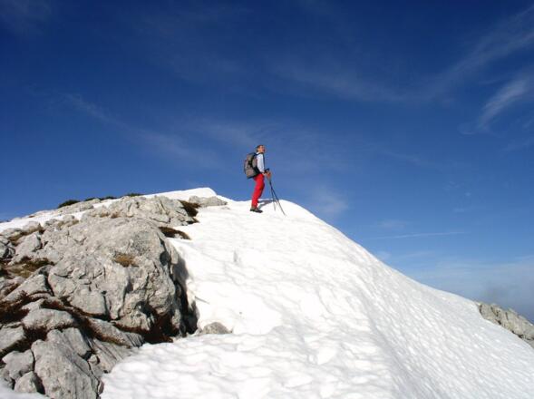 Am Vorgipfel 2000m