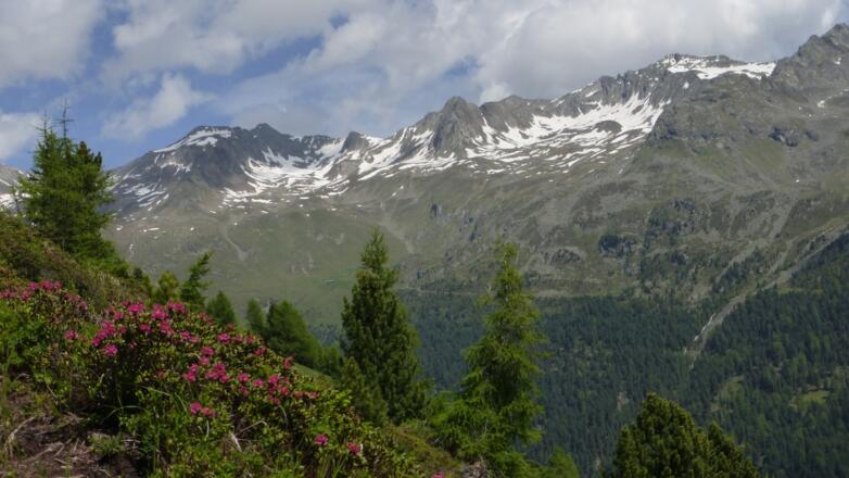 Blick über das Trojeralmtal