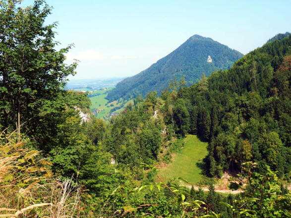 Großer Landsberg 899m, von Forststr. um 715m (Umweg).