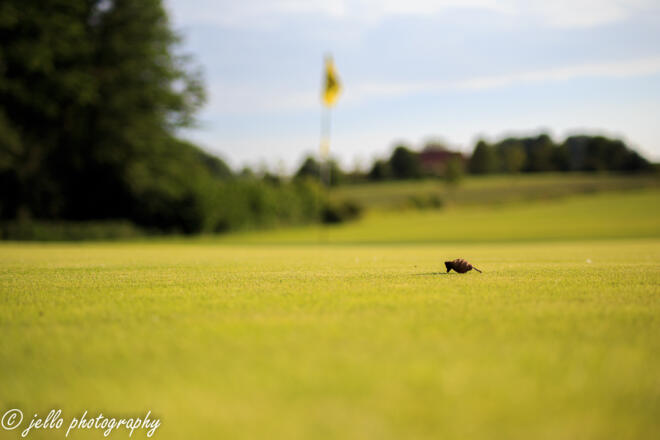 Celtic Golf Course Schärding