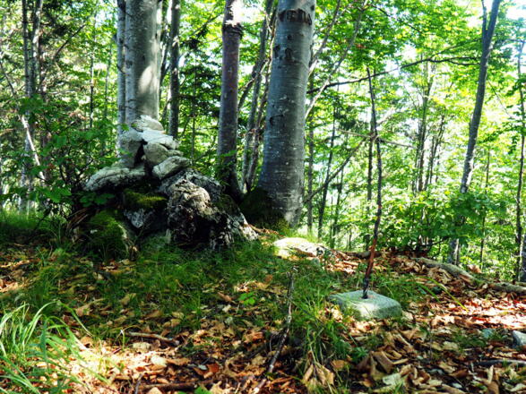 Rinnerberg 878m, Manndl + Holzkreuz im Vermessungspunkt