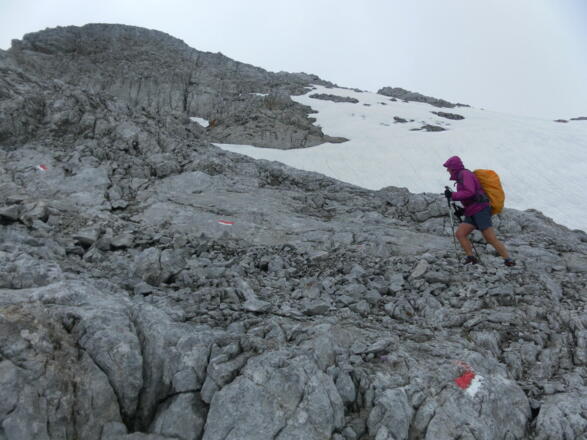 Gipfelkalotte des Brandhorns