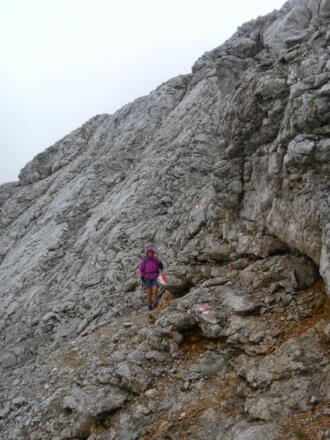 Nordflanke des Kleinen Brandhorns