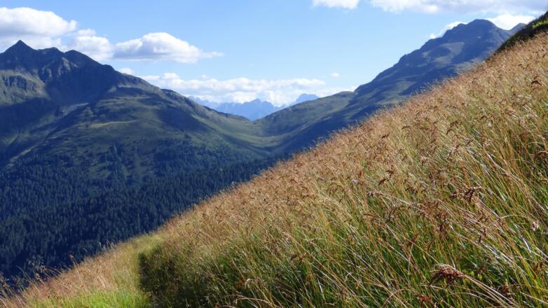 Über das Gsieser Törl grüßen die Dolomitten