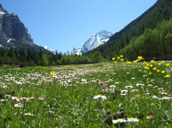 Yoga Energieplatz Pinnistal
