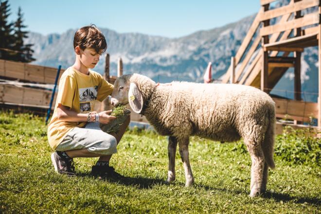 Streichelzoo am Astberg