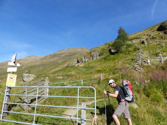 Direkt hinter Rofen zweigt man rechterhand zur Breslauer Hütte ab.