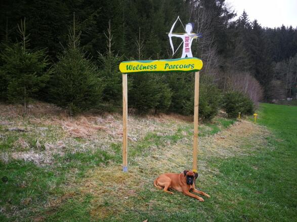 Wellness Pacours
