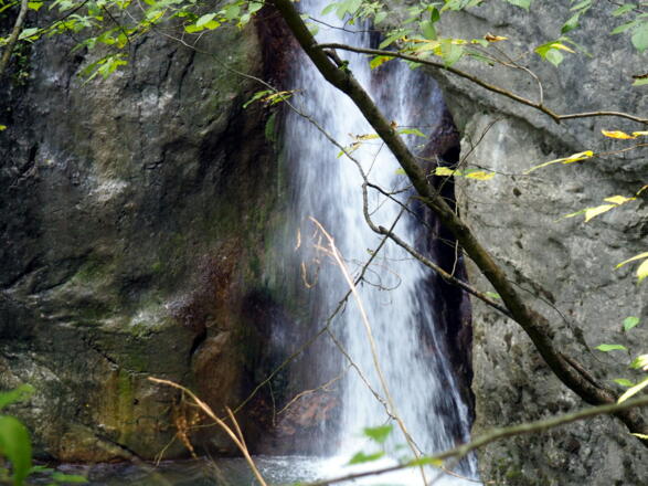Rinnerberger Wasserfall ~520m
