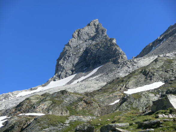 Zsigmondyspitze - Südwand in voller Pracht