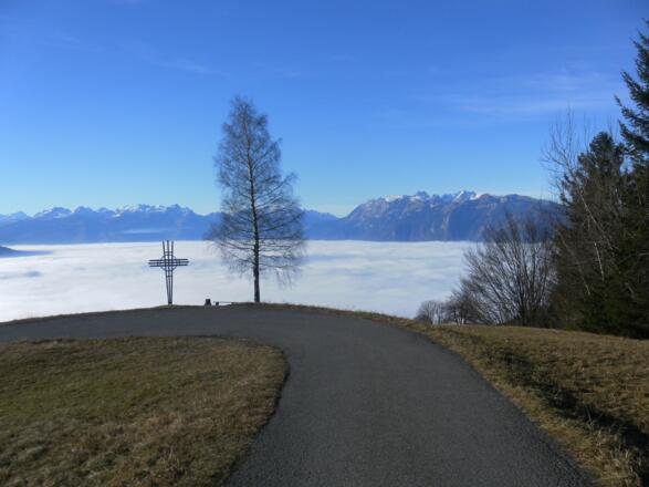 Tiefblick ins Rheintal