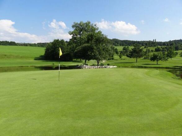 GOLFCLUB TRAUNSEE KIRCHHAM Green