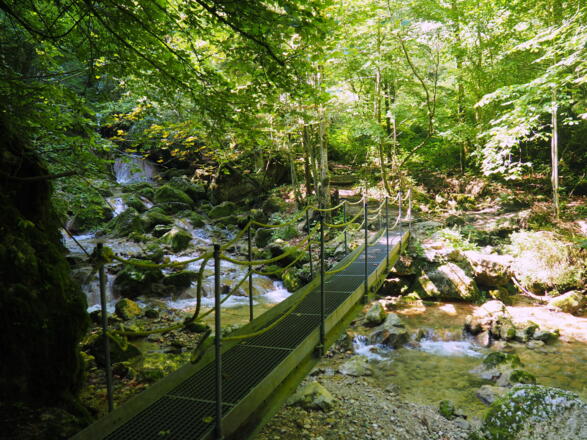 Brücke Rinnerbergerbach ~480m