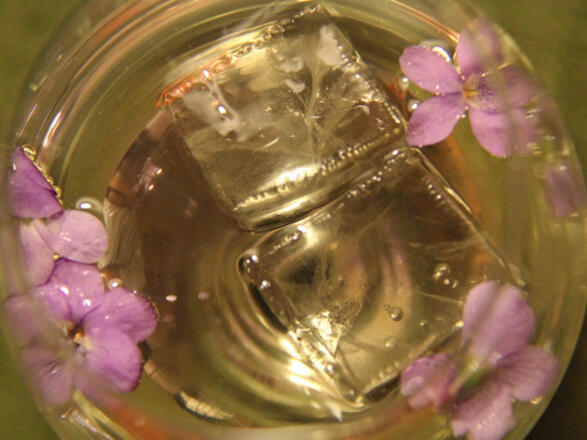 happy hauer&#039;s Cocktailbar zum Kirchenwirt in Grünau im Almtal