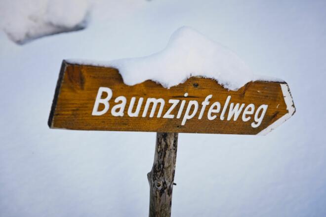 Baumzipfelweg &amp; Golden Gate Brücke der Alpen im Talschluss von Saalbach Hinterglemm