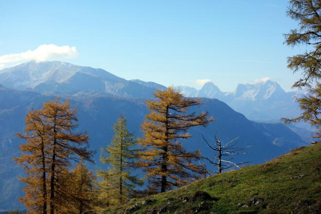 Abstieg Gowilalm, mit Warscheneck Spitzmauer und Prielkamm
