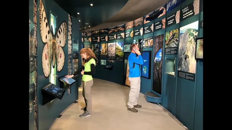 Panoramaturm Wurbauerkogel Nationalpark Kalkalpen - Windischgarsten