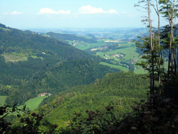 Blick von der Forststr. (~800m) ins Pernzell-Tal