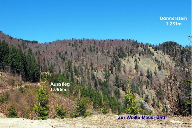 Rückblick vom Jagastand an der Forststr. 1060m
