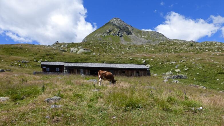 Die Oberseitalm am Beginn des Höhenweges unter dem Weißen Beil