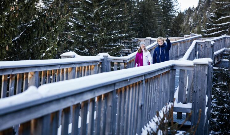 Baumzipfelweg &amp; Golden Gate Brücke der Alpen im Talschluss von Saalbach Hinterglemm