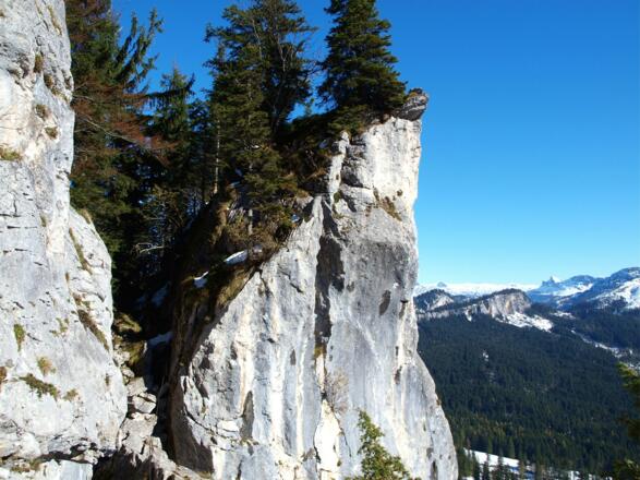 Gipfelfelsen Predigtstuhl