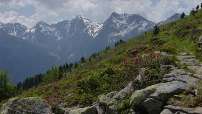 Blick auf Weiße Spitze und Rote Spitze im Süden