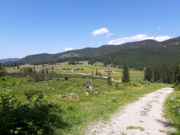 Unterer Teil des Moosweges