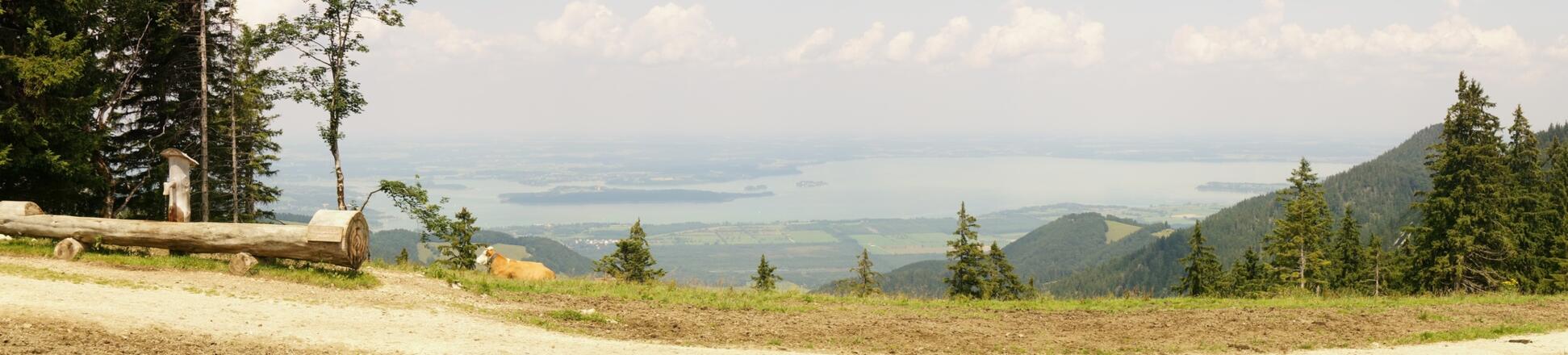Weg zur Hochalm mit Blick auf den Chiemsee