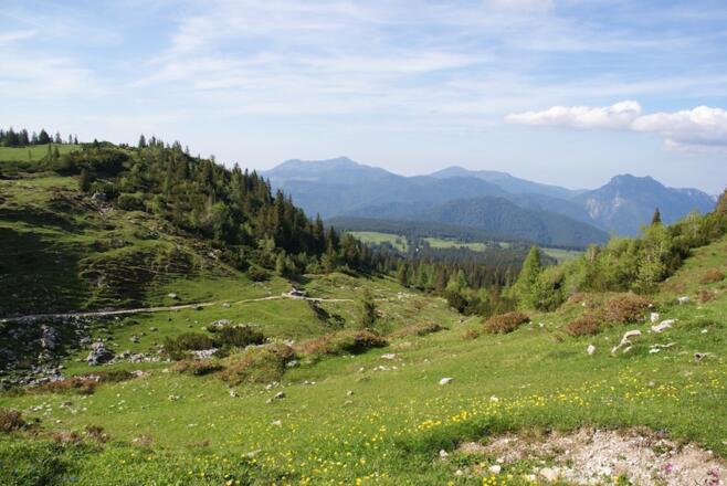 Blick zum Ende der Rundtour bzw. Weg von der Hemmersuppenalm