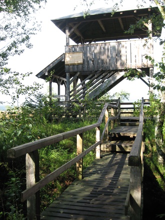 Aussichtsturm im Moor