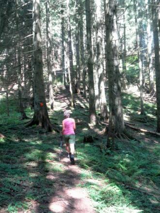 markierter Gipfelanstieg