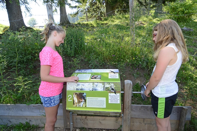 Info-Fass über die Butterherstellung
