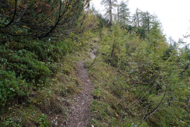 Etwas flacheres Zwischenstück