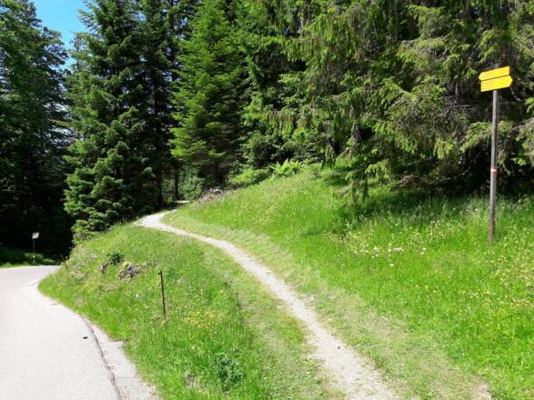 Wegabzweigung zum Seegatterl