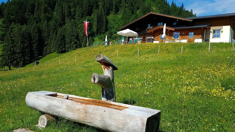 Jausenstation Wildalm