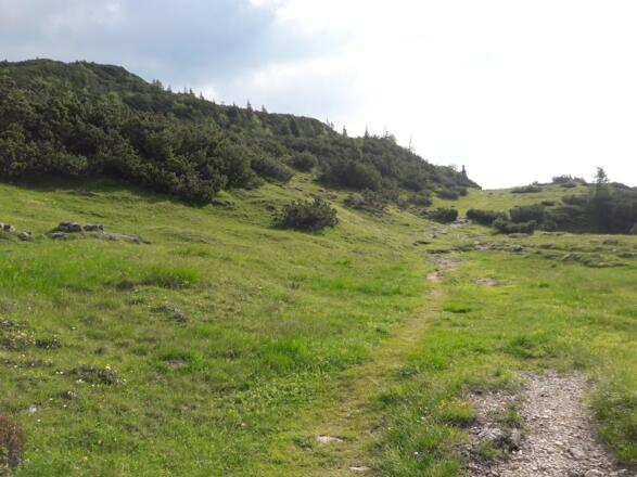 Steig nach der Hochtrittalm