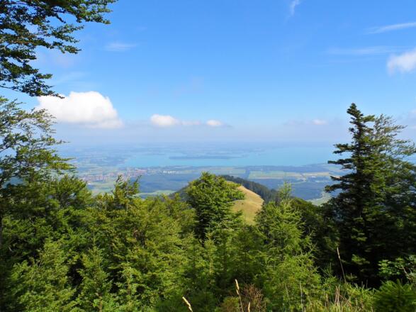 Herrlicher Ausblick auf den Chiemsee