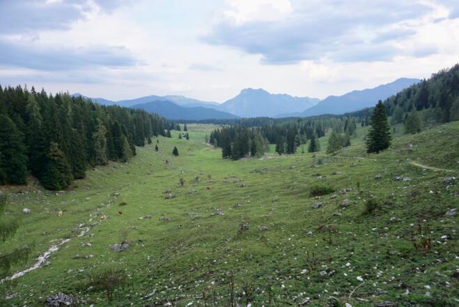 Obere Hemmersuppenalm