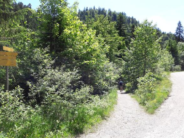Wegabzweigung zum Seegatterl
