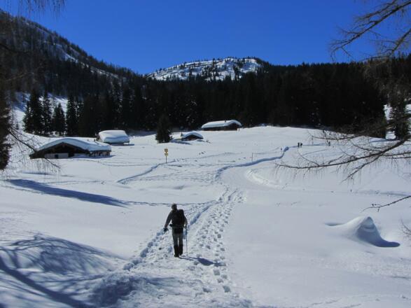 Hier an der Hemmersuppenalm erreichen wir wieder den ausgeschilderten Anstieg