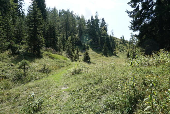 Wegabschnitt bei der Einmündung des Weges von der Neualm