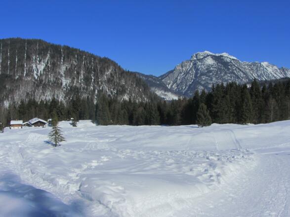 oberhalb der Nattersbergalm, Sicht zum Hörndl