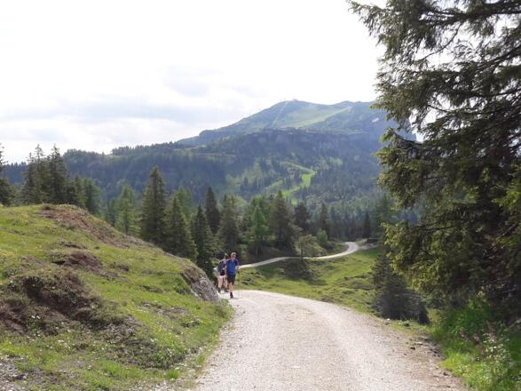 Wirtschaftsweg zur Steinplatte